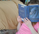 轰炸短信在线使用